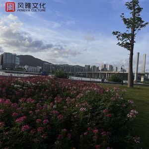 东北少妇水多淫荡性交
